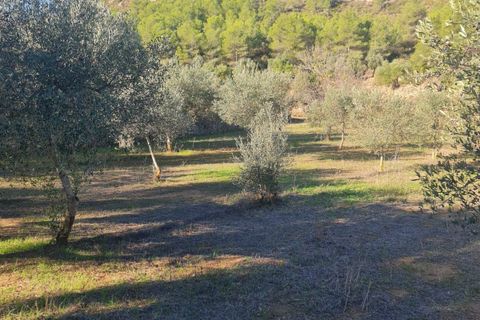 Landejendom i Asco, Tarragona, Asco - € 29.000 | Ref: 1003 Pasco - foto 19